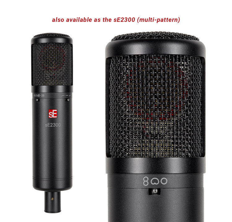 sE Electronics sE2200 Large-Diaphragm Studio Condenser Microphone - NEW