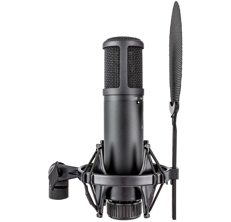 sE Electronics sE2200 Large-Diaphragm Studio Condenser Microphone - NEW